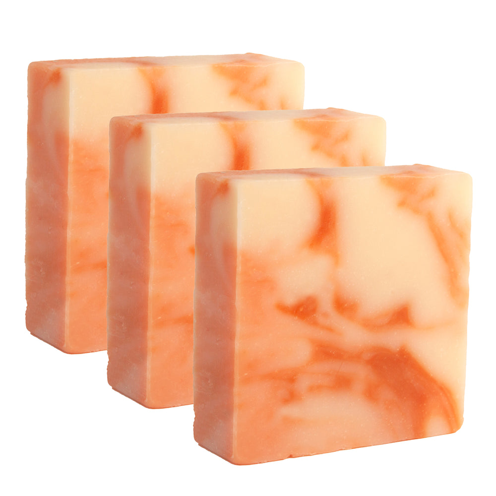 
                      
                        Majestic Lather Citrus Handmade Bar Soap Close Up 3 Bars
                      
                    